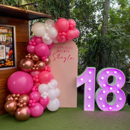 Balloon garland, arch, custom writing and light up numbers
